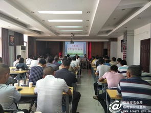 临沧市甘蔗技术推广站深入凤庆糖业集团开展科技培训与技术推广服务