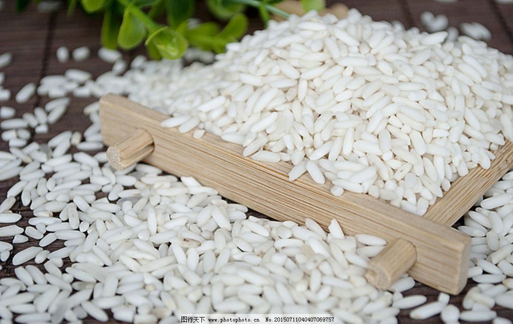 优质糯米 晶莹剔透的米中瑰宝