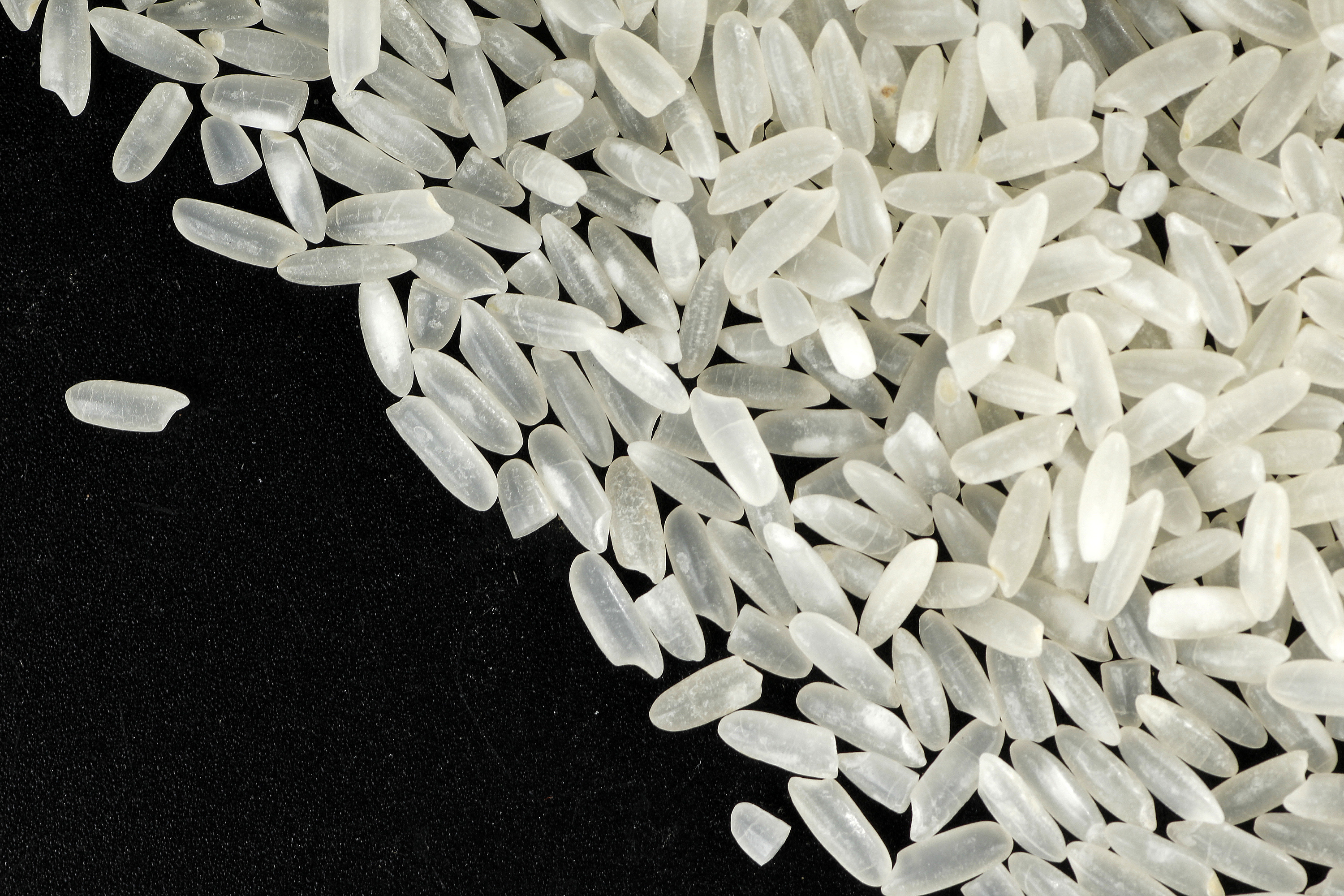 这些地方的大米都很好吃，哪一口是你的家乡味？